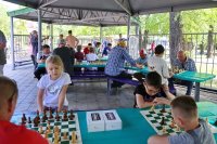 "Шахматы для всех": итоги первого месяца работы проекта