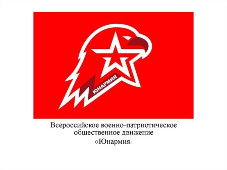 «Юнармия» призывает в «Артек» участников добровольного движения от 11 до 17 лет